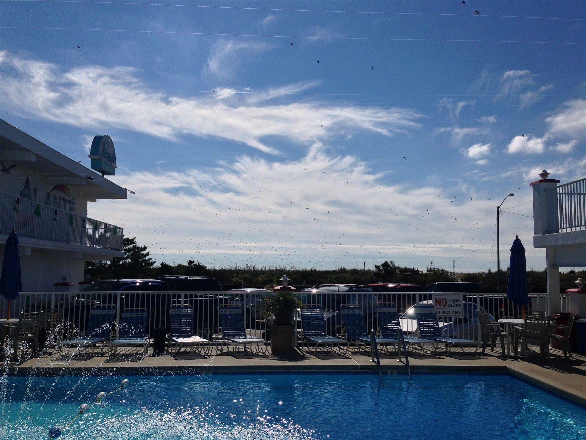 Alante Oceanfront Motor Hotel North Wildwood Eksteriør billede
